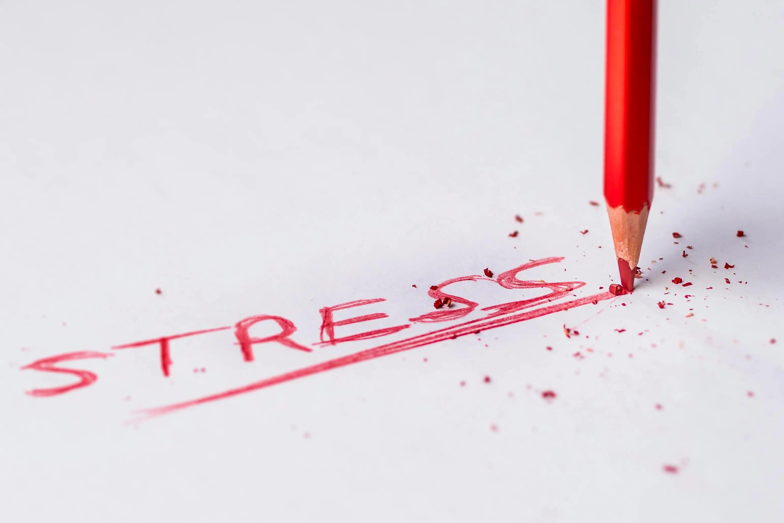 Apa Perbedaan Eustress dan Distress? Kenali Pengertian, Penyebab, dan Contohnya cover