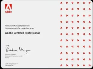 Adobe Certificate