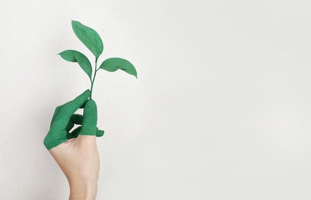 Kaizen, Filosofi Bisnis dari Jepang untuk Pengembangan Perusahaan cover