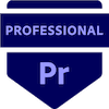 Digital Video using Adobe Premiere Pro Certification image