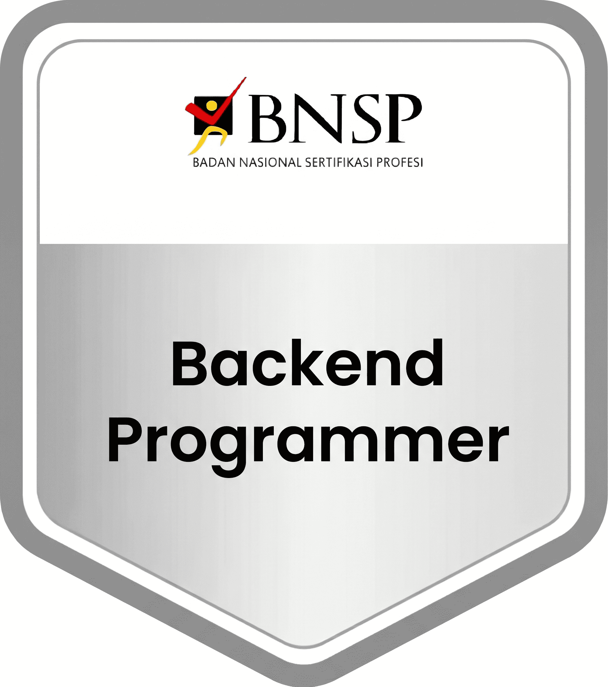 Backend Programmer image